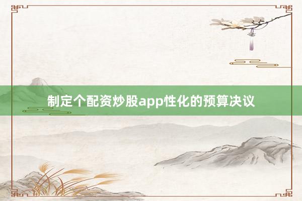 制定个配资炒股app性化的预算决议