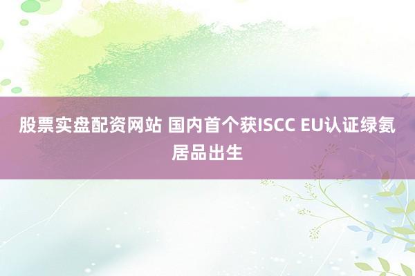 股票实盘配资网站 国内首个获ISCC EU认证绿氨居品出生
