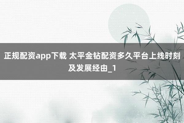 正规配资app下载 太平金钻配资多久平台上线时刻及发展经由_1